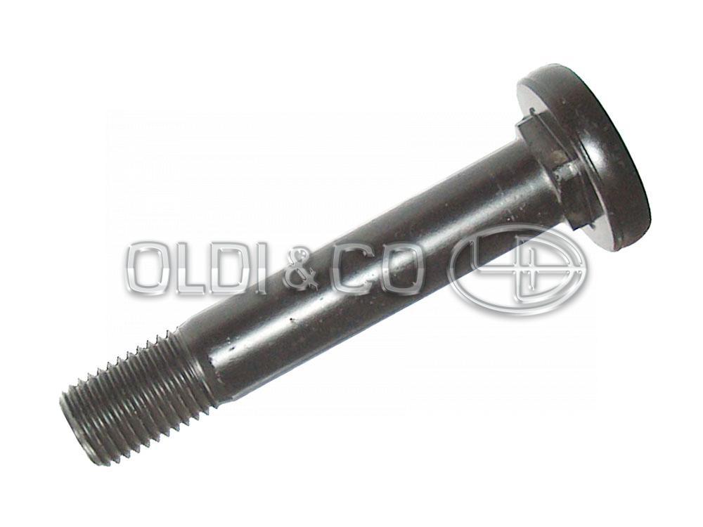 17.014.22199 Leaf springs Spring pin set Atsperes Pusatsperes