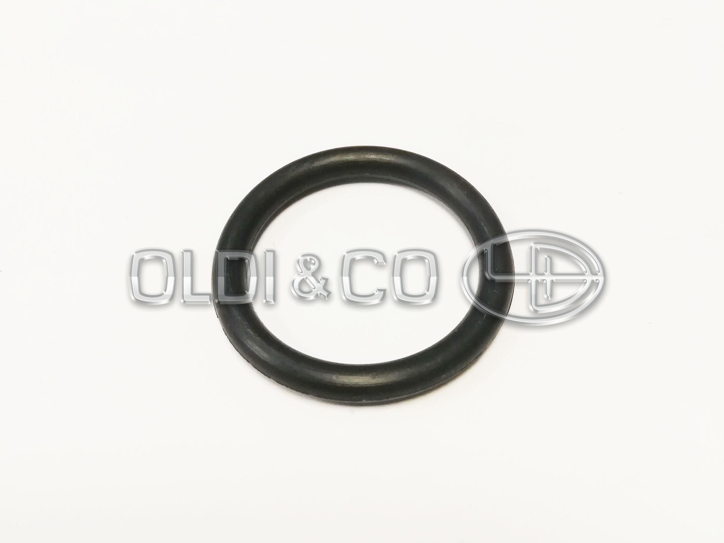 22.003.03169 Детали тормозной системы → Кольцо уплотнительное / O-Ring