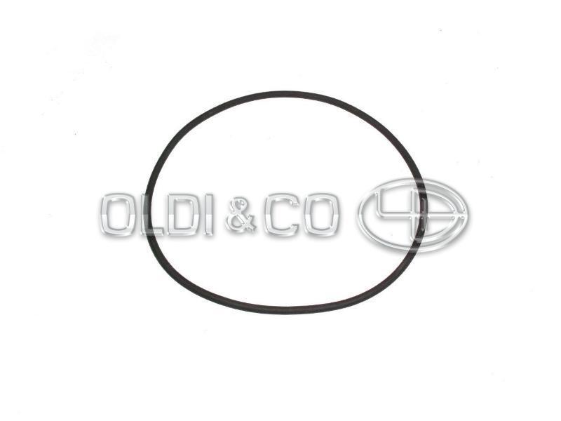 22.003.04043 Детали подвески / ходовой части → Кольцо уплотнительное / O-Ring