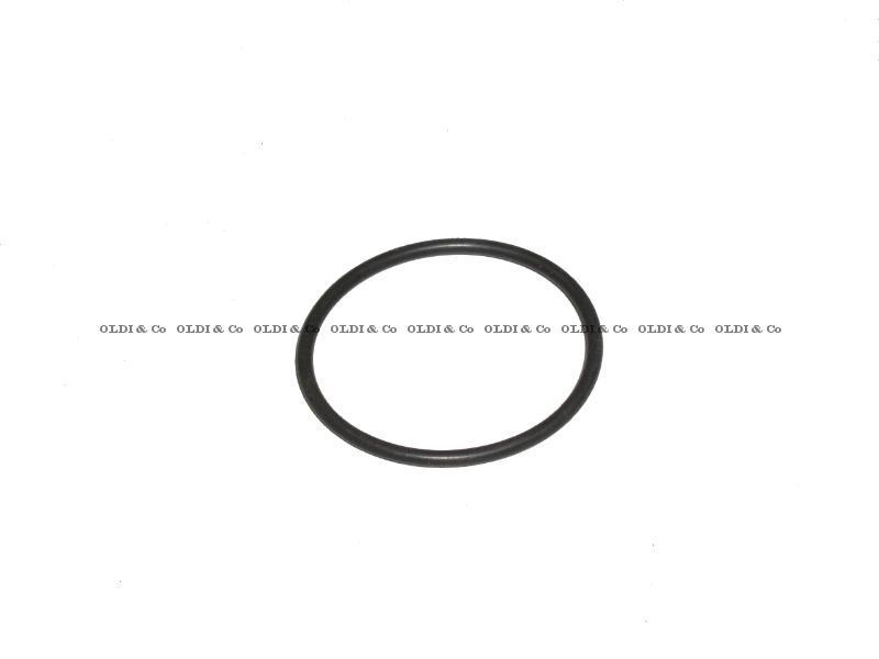 22.003.06096 Детали тормозной системы → Кольцо уплотнительное / O-Ring