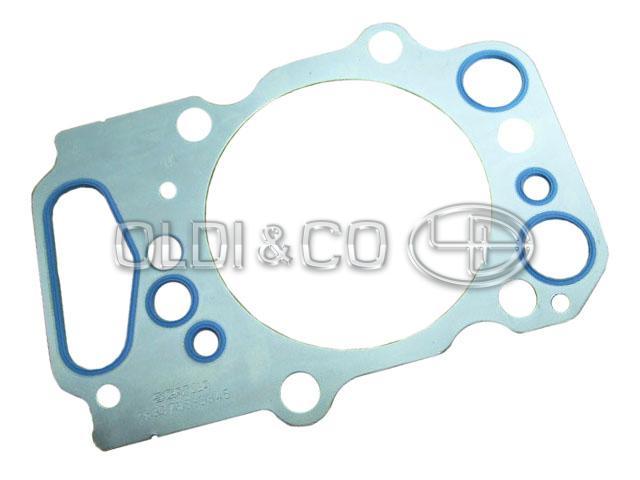 33.055.24409 Dzinēja detaļas → Galvas blīve