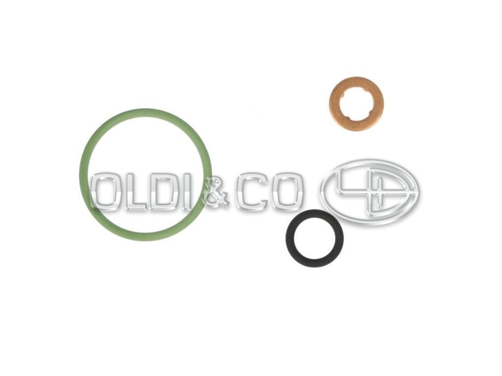 28.041.27234 Dzinēja detaļas → Sprauslas blīvētāju komplekts